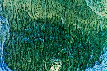A 39C